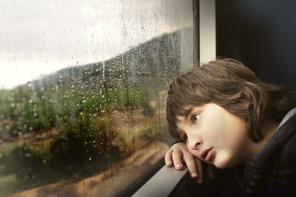 ילד מסתכל החוצה מהאוטובוס